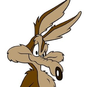 Meet your Posher, Timothy